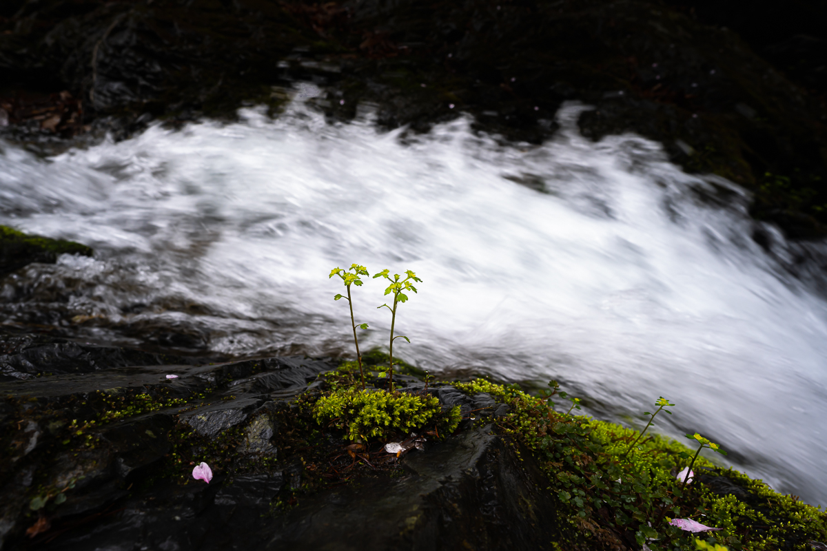 DSC_0761.jpg