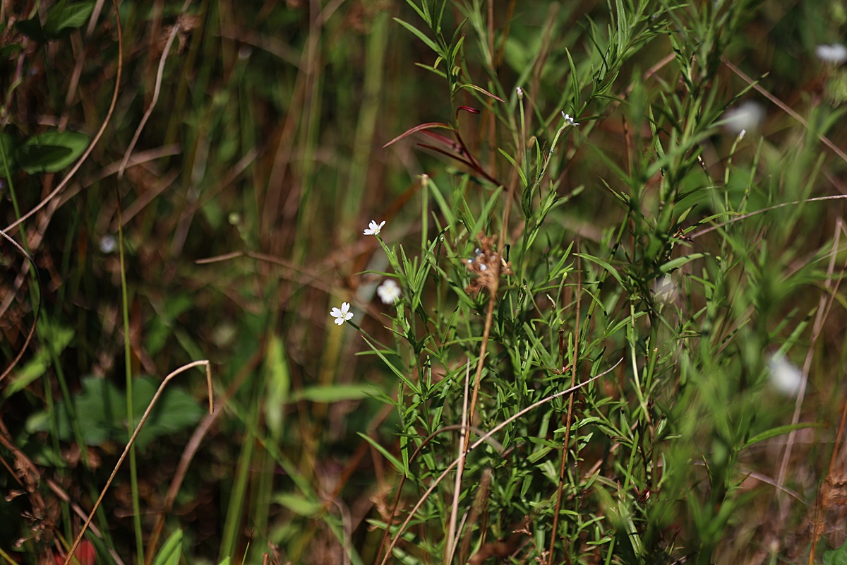 24-08-28 (192)-1.JPG