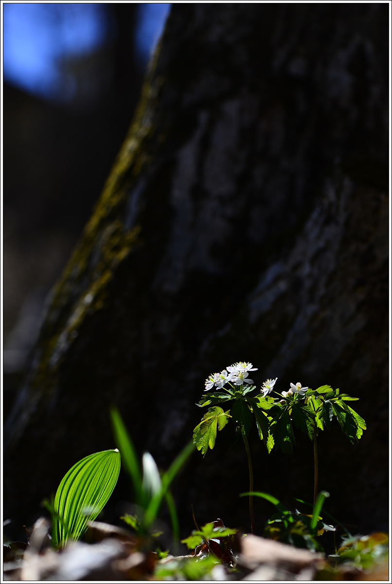 CJH_8619 완.jpg
