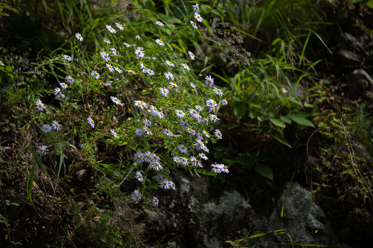 DSC_9143.jpg