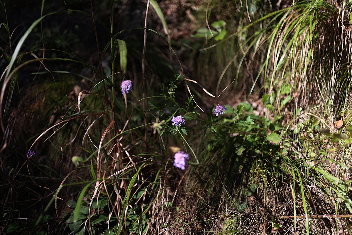 24-09-28 (170)-1.JPG