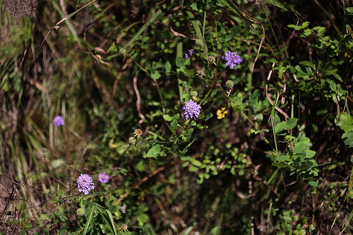 24-09-28 (181)-1.JPG