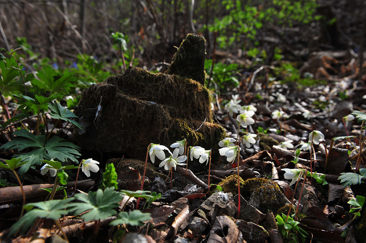 DSC_1912s.jpg