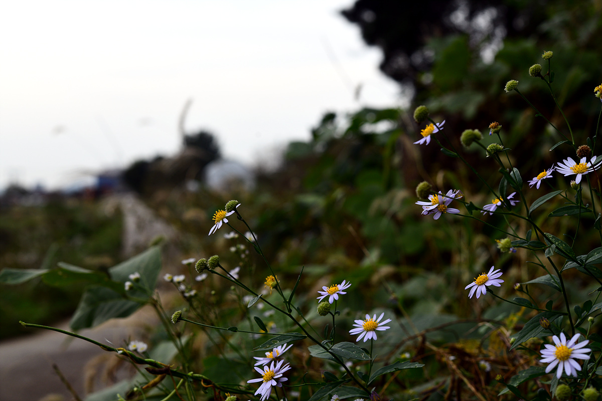 DSC_0473.jpg