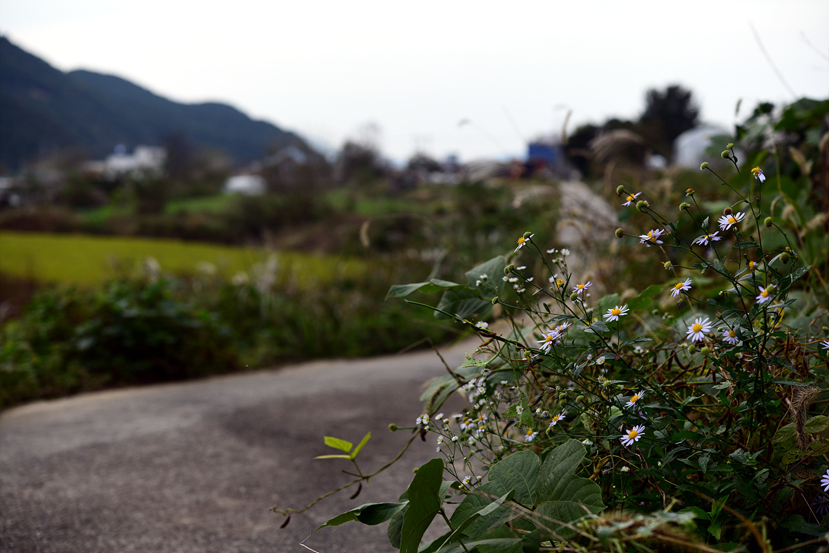 DSC_0472.jpg