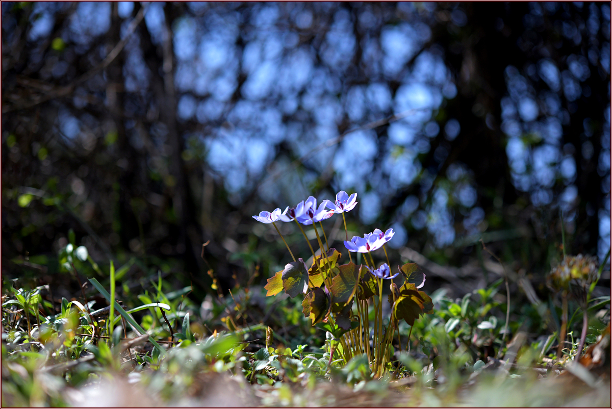 DSC_8276.jpg