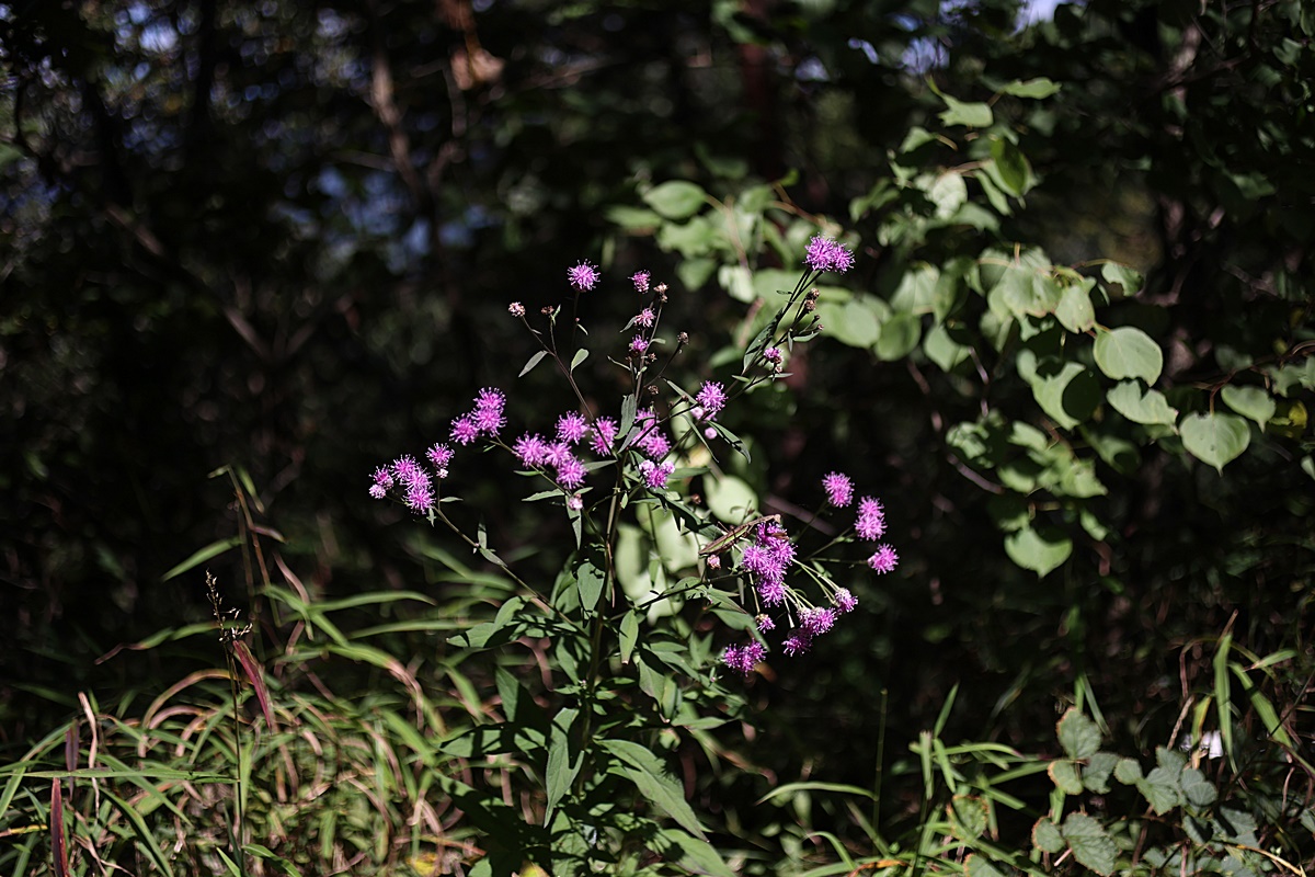 24-09-28 (188)-1.JPG