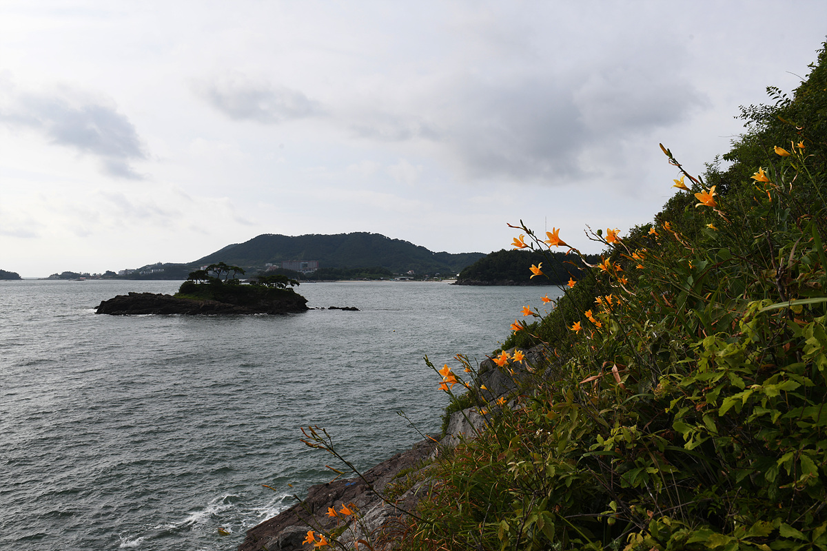 DSC_0271sss.jpg
