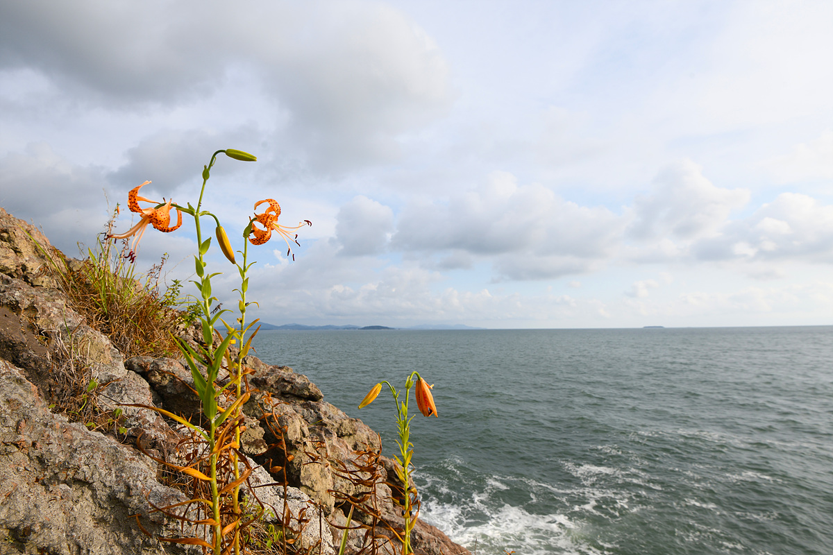 DSC_0287aaa.jpg