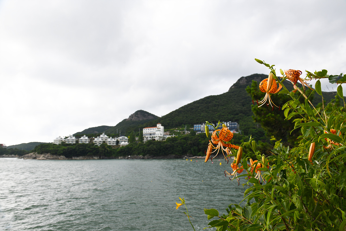 DSC_0255sss.jpg