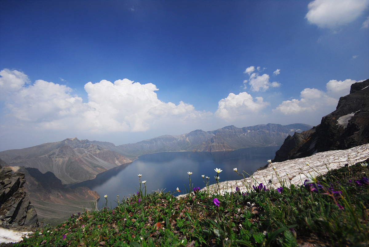 DSC_0731cc.jpg