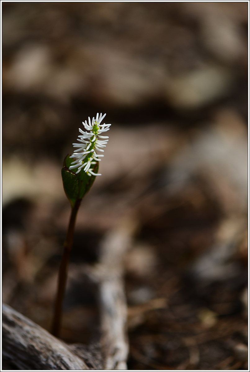 CJH_7918 완.jpg