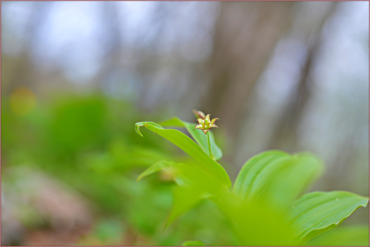 DSC_3979.jpg