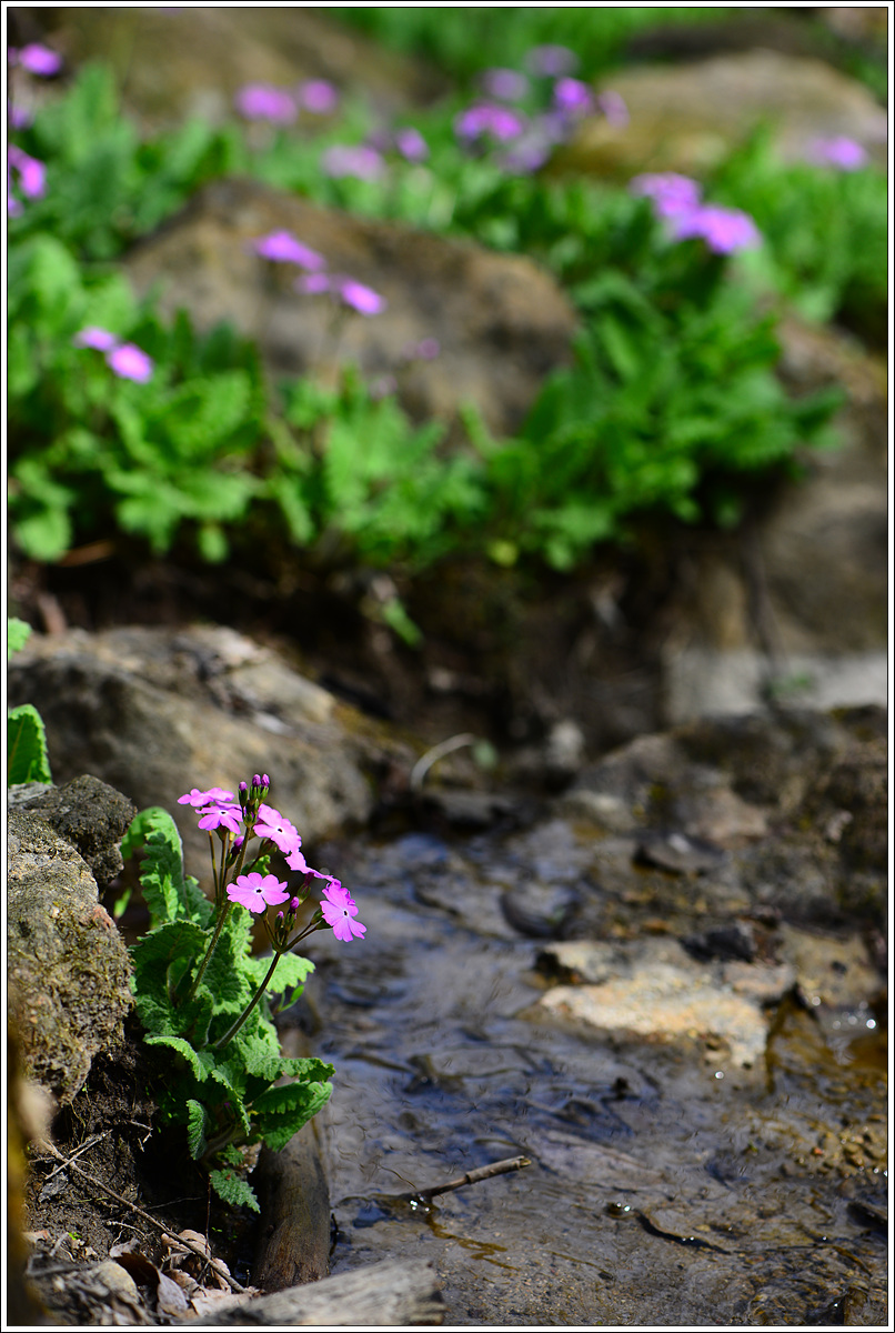 CJH_7839 완.jpg