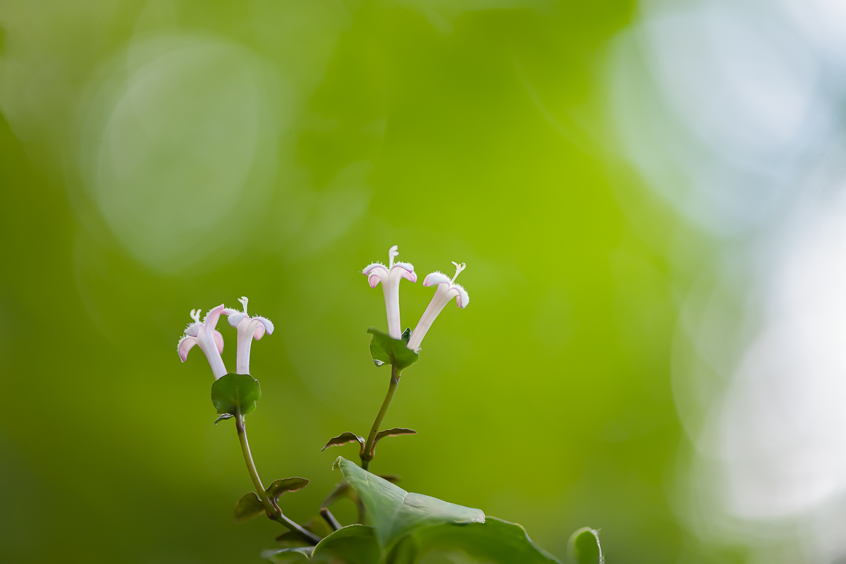 DSC_0327.jpg