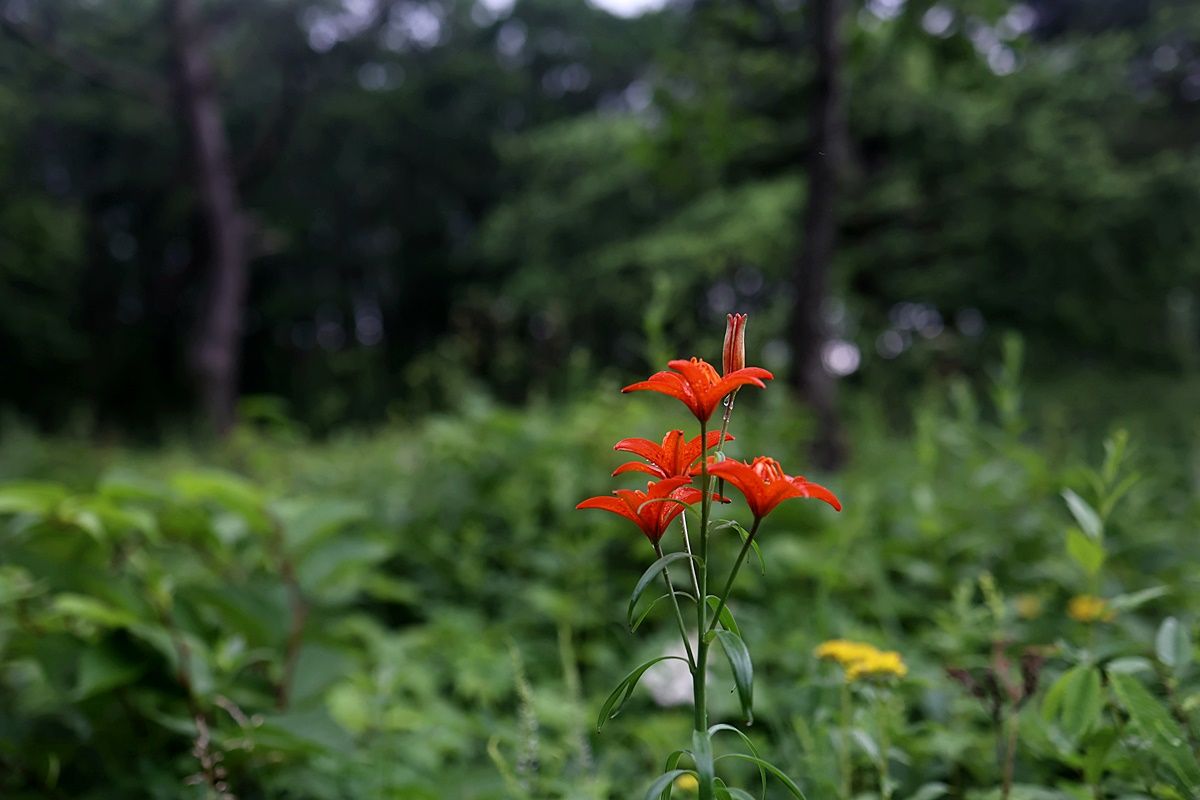 24-07-12 (175)-1.JPG