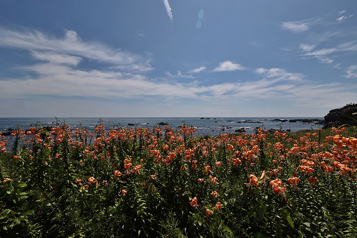25-07-13 (101)-1.JPG