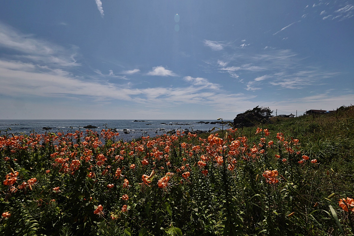 25-07-13 (103)-1.JPG
