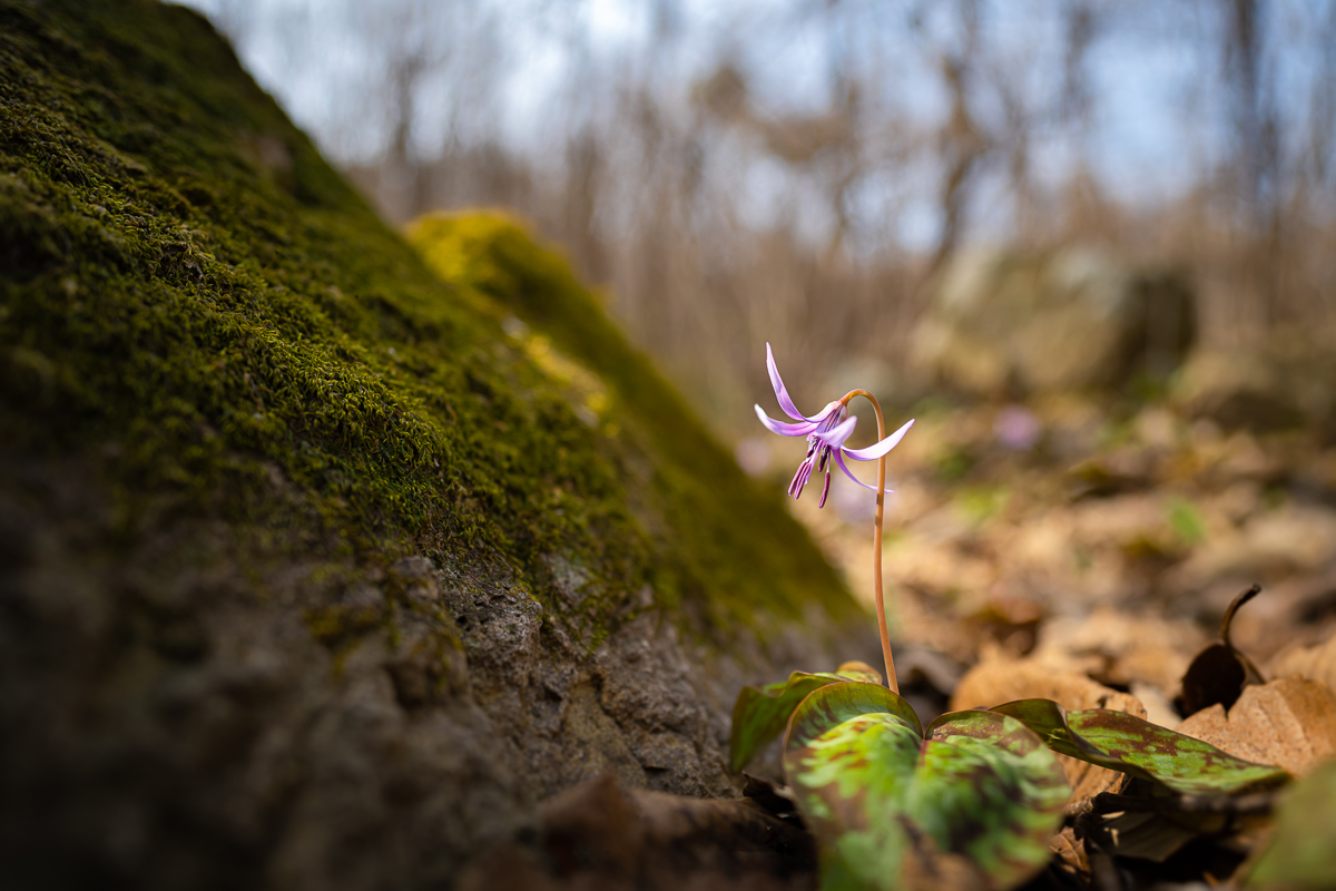 DSC_9146.jpg
