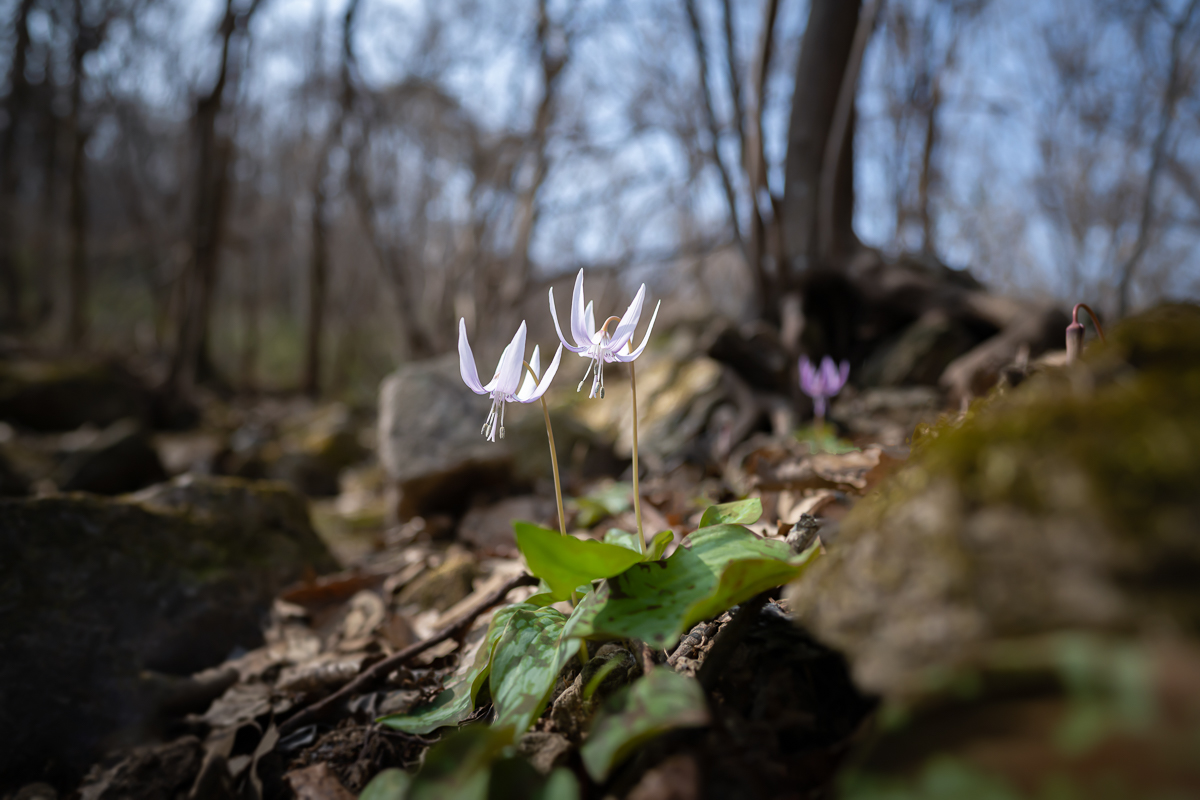 DSC_9150.jpg