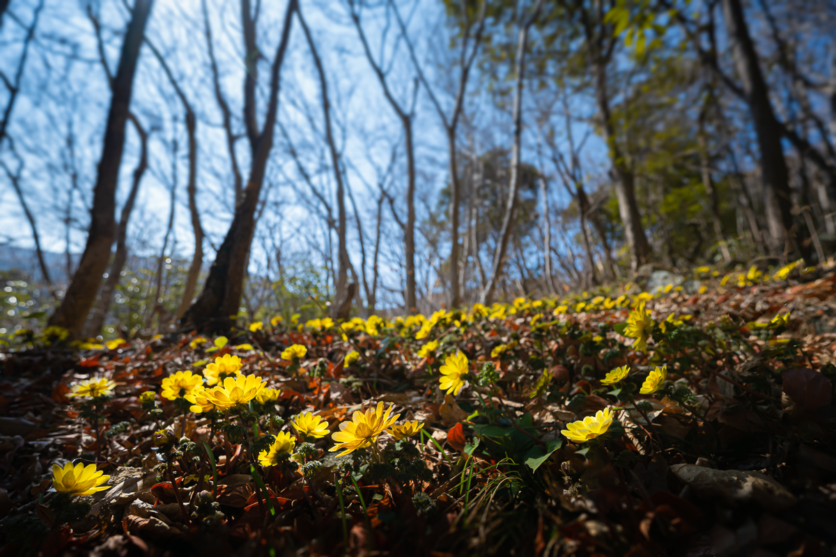 DSC_6551.jpg