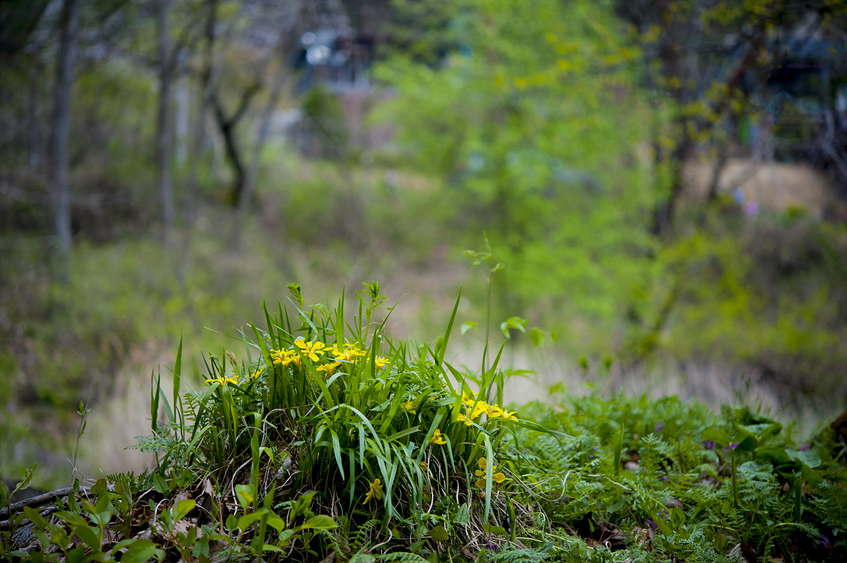 DSC_6556s.jpg