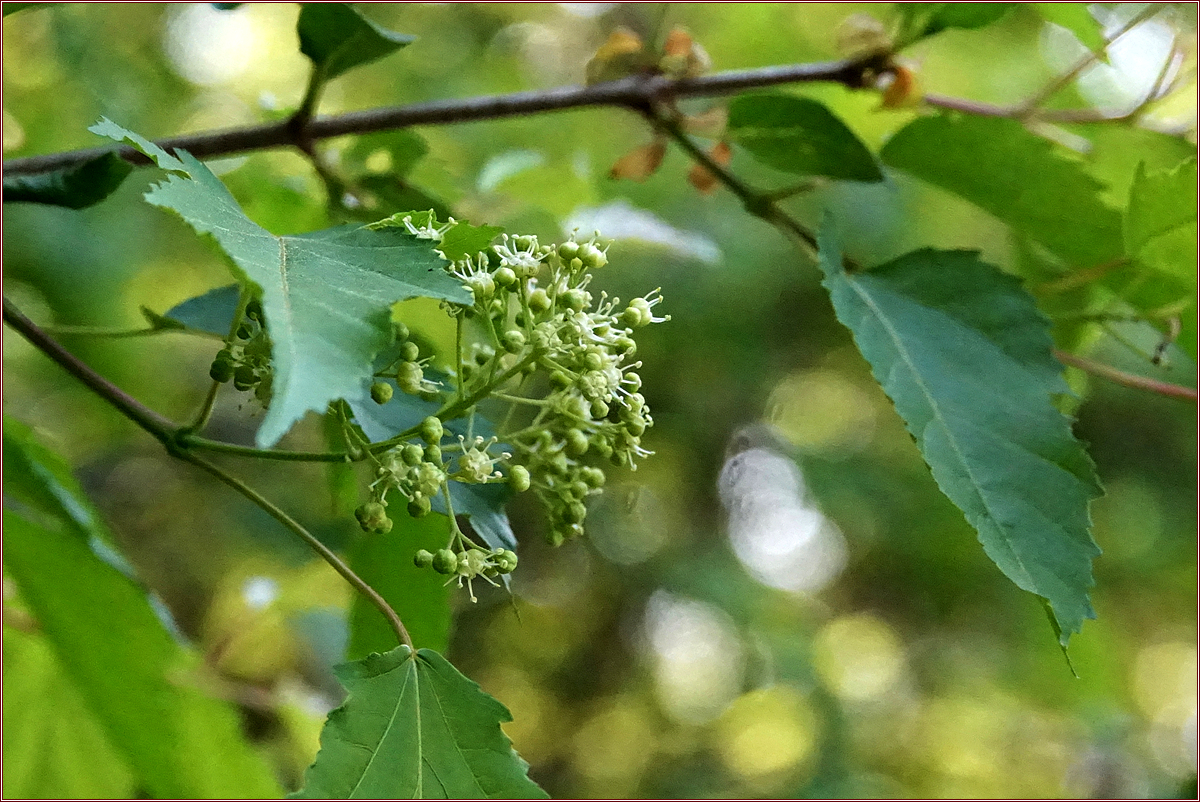 KHS09703.jpg