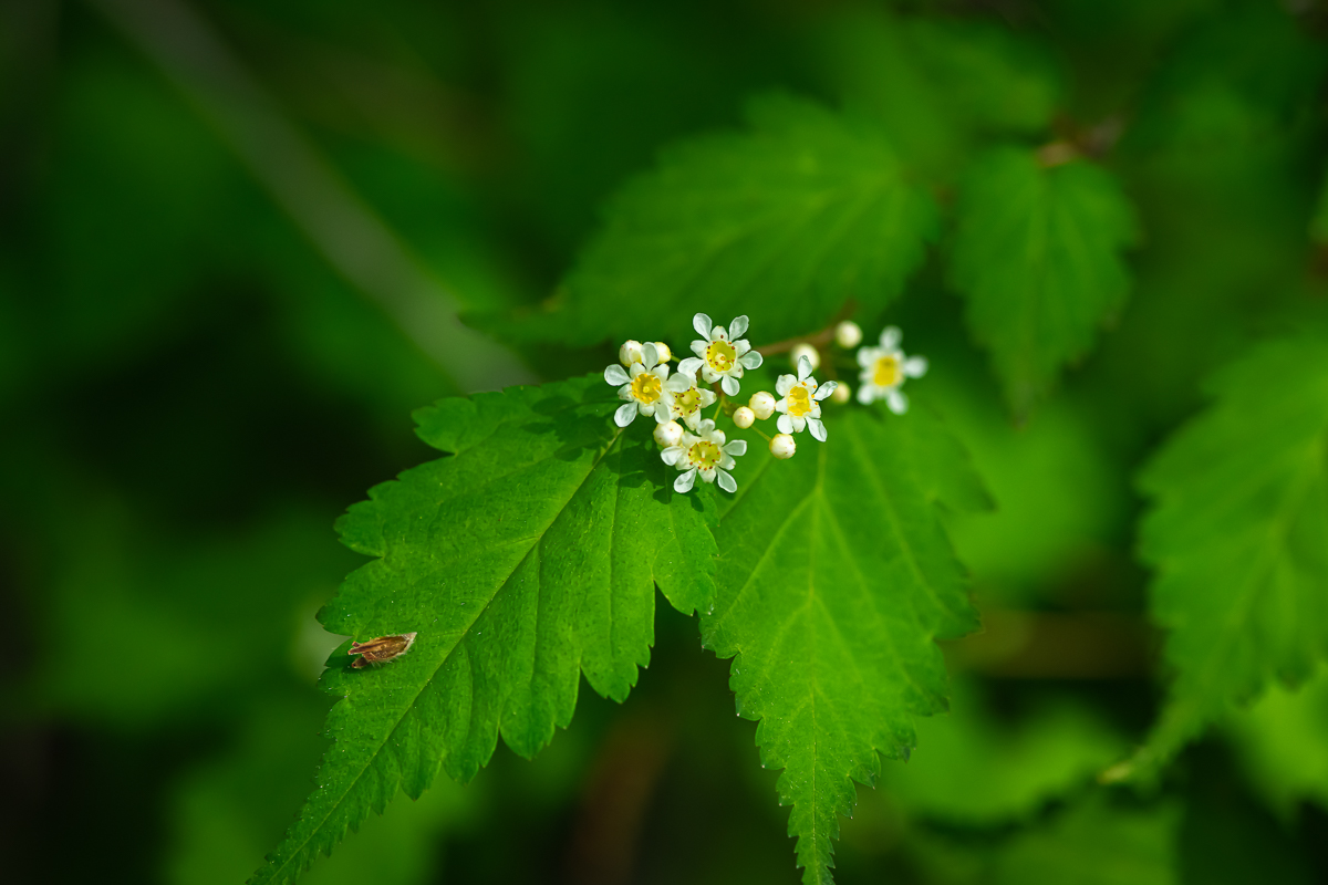 DSC_8579.jpg