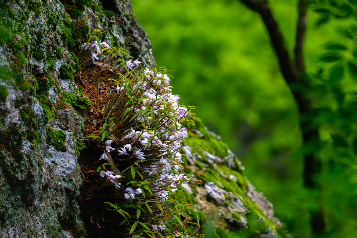 DSC_9763.jpg