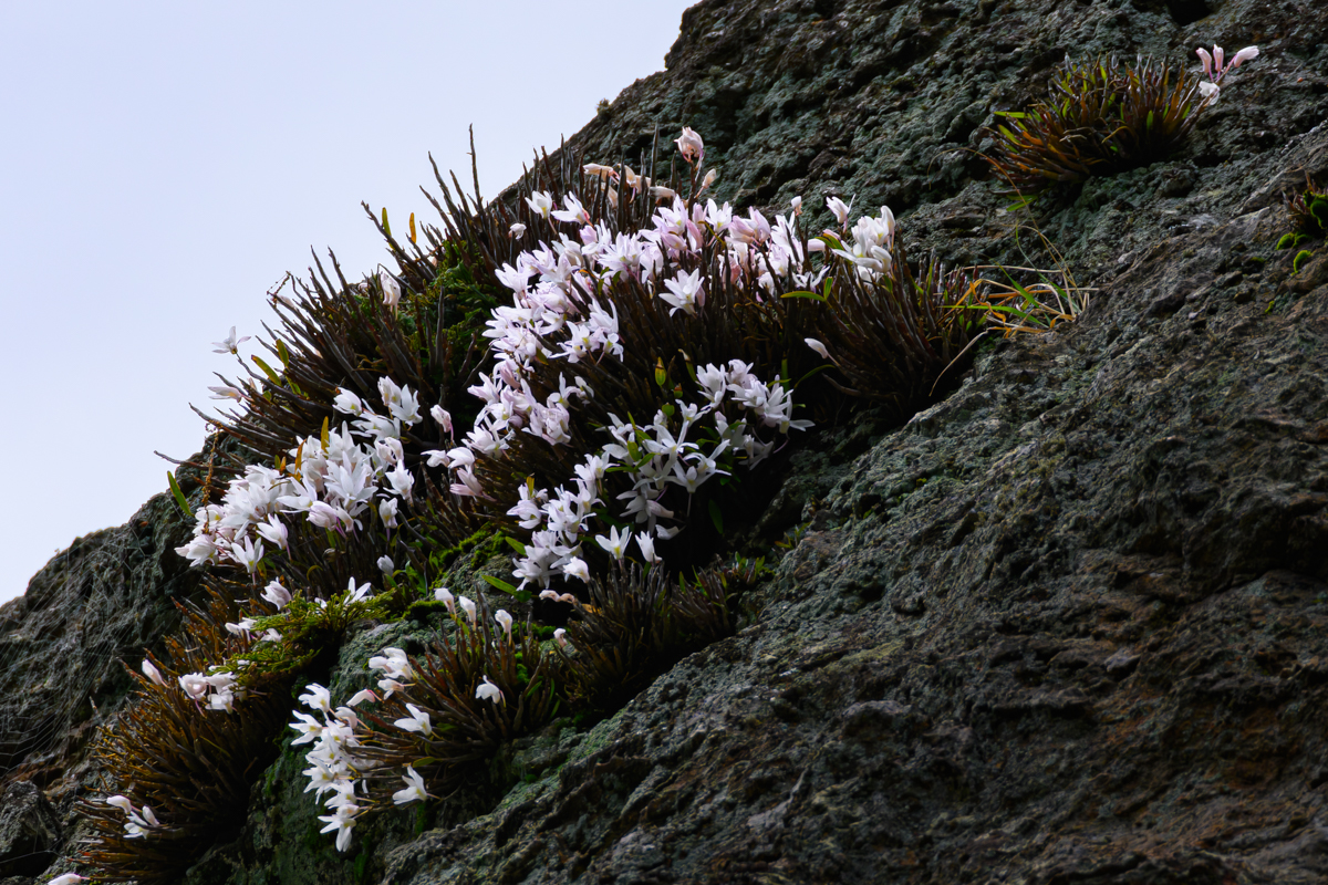 DSC_9726.jpg