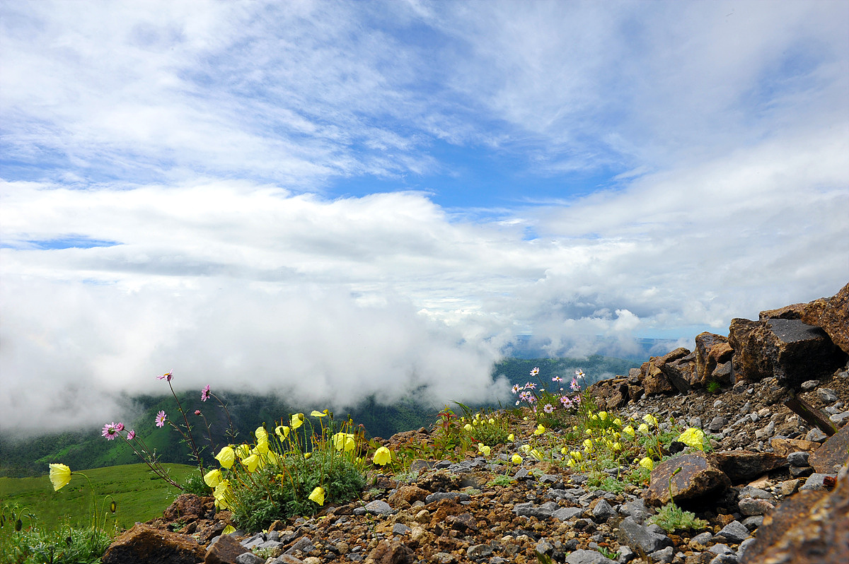 DSC_3687ss.jpg