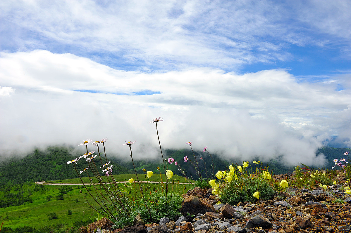 DSC_3688ss.jpg