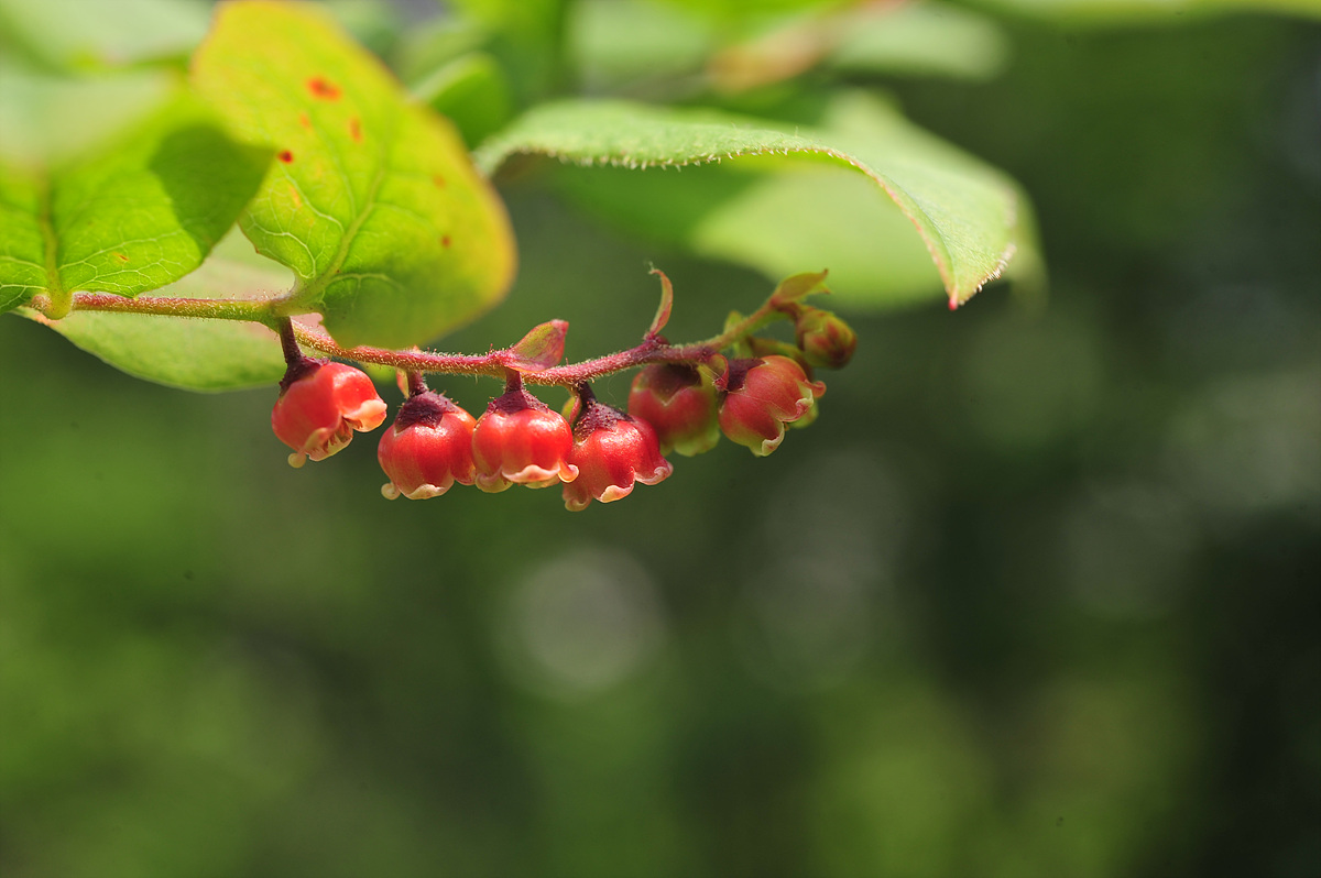 DSC_7899.jpg