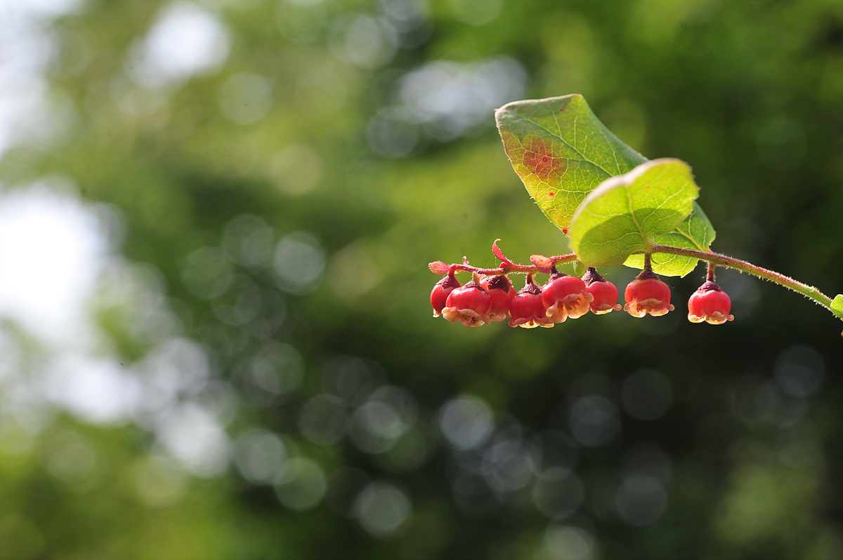DSC_7839.jpg