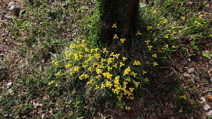 B82A9459.jpg