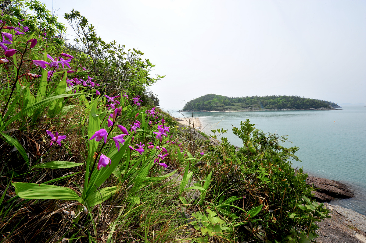 DSC_8879a.jpg