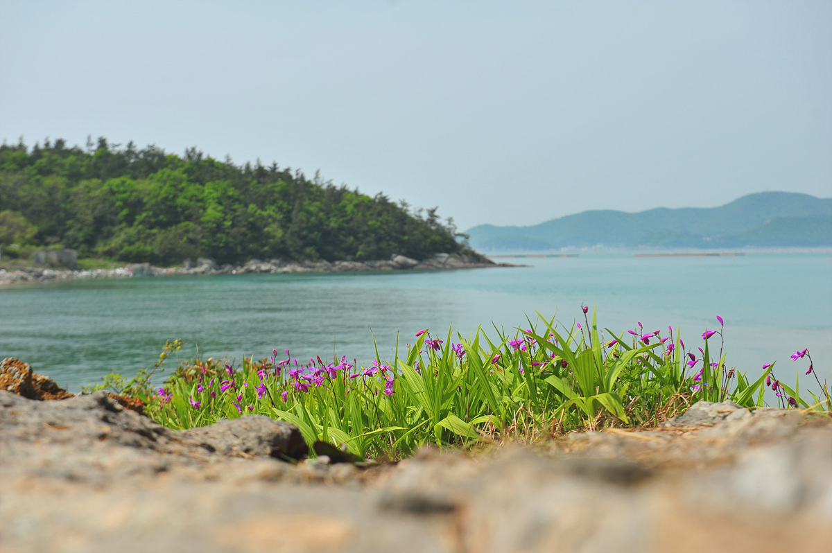 DSC_8533s.jpg
