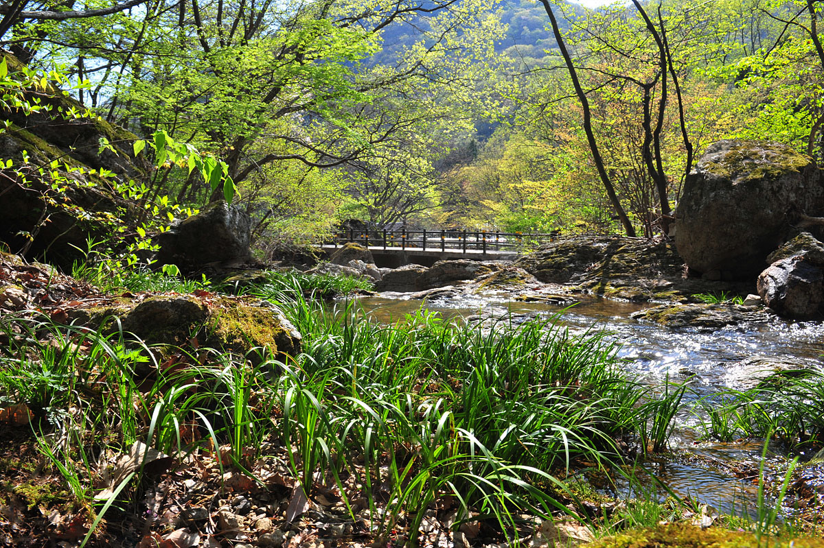 DSC_4199ss.jpg