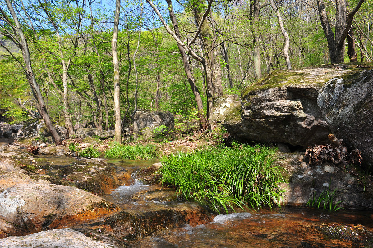 DSC_4194cc.jpg