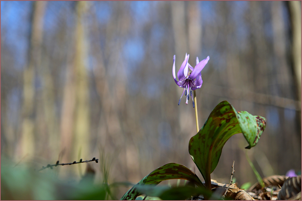 DSC_9555.jpg