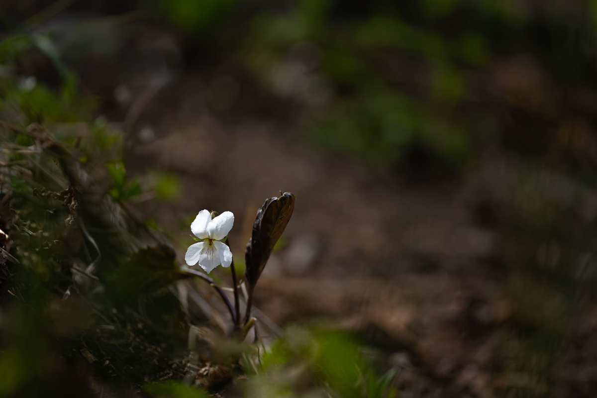 DSC_6919.jpg