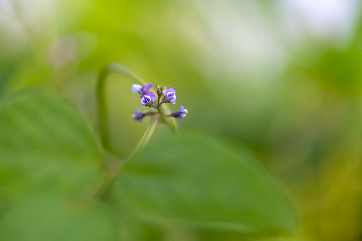 20200908-DSC_7044.jpg