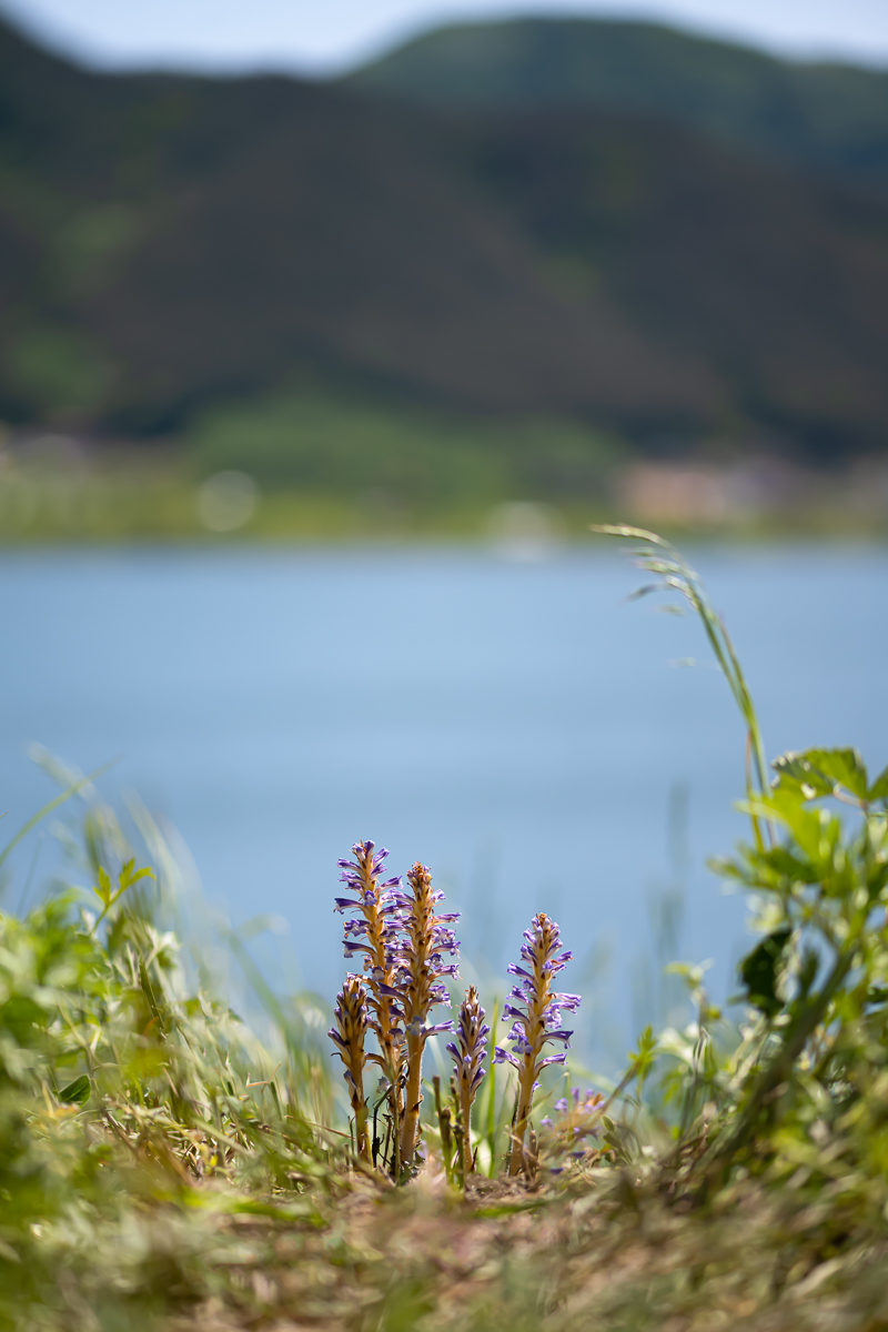 DSC_8097.jpg