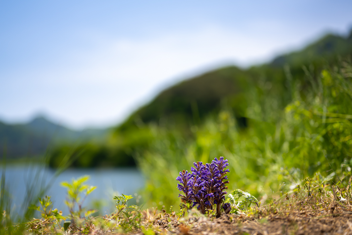 DSC_8044.jpg