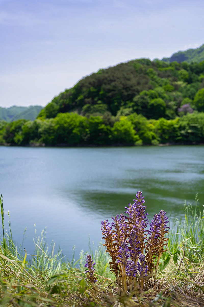 DSC_8079.jpg