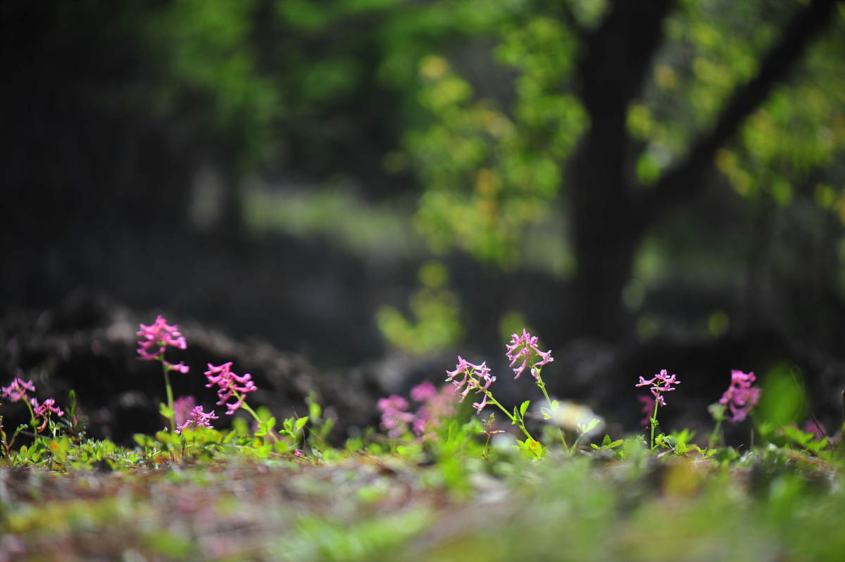 DSC_5713.jpg