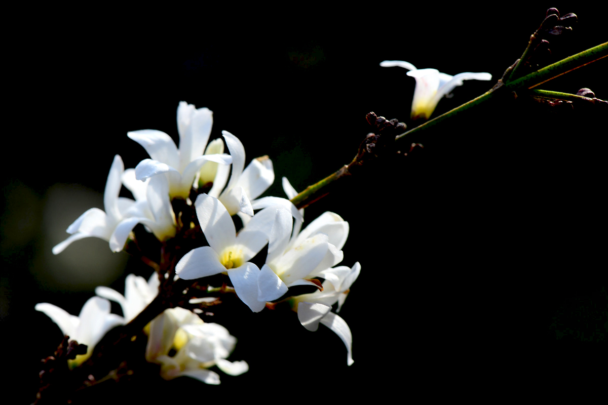 DSC_5843ccc.jpg