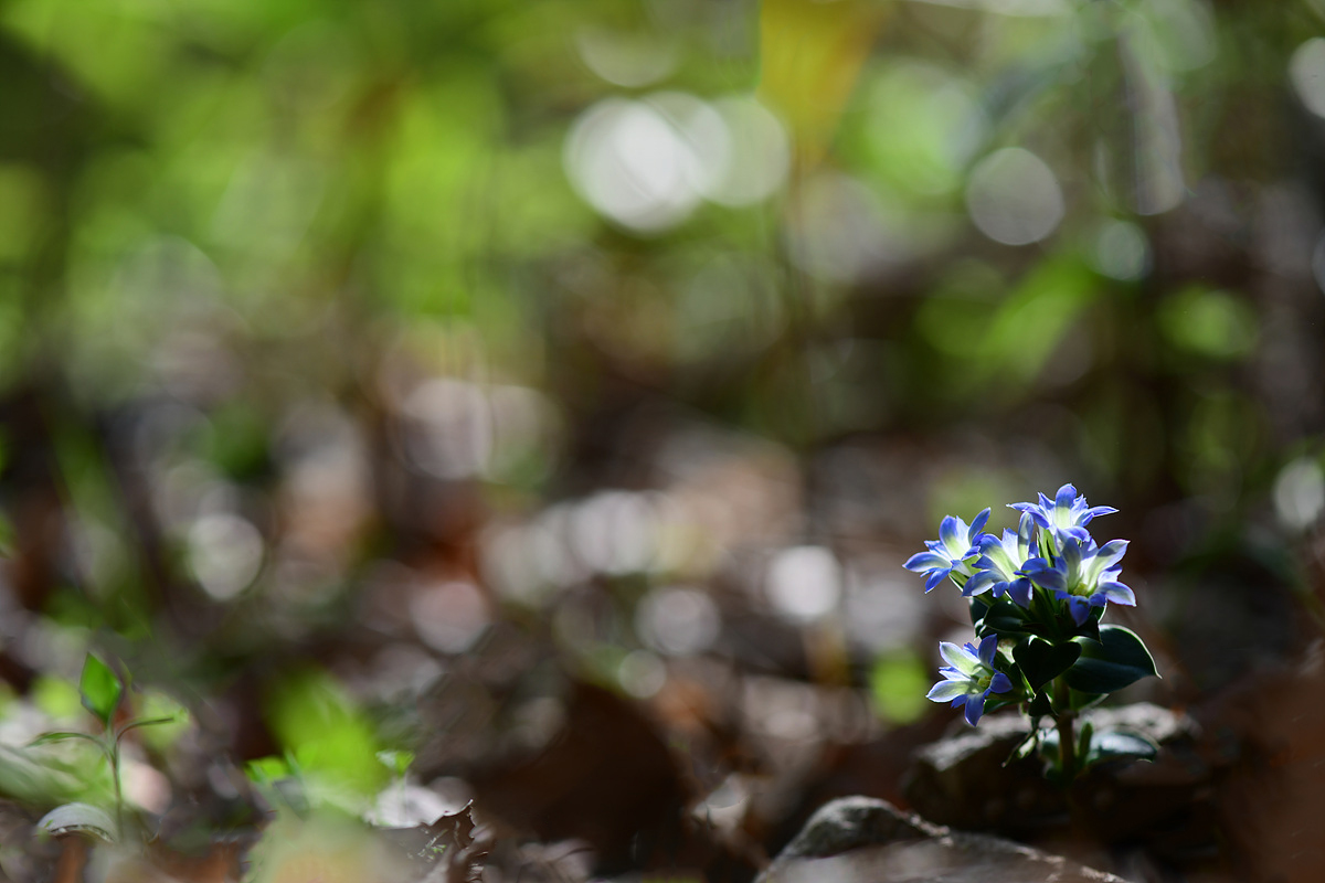 DSC_1597sss.jpg
