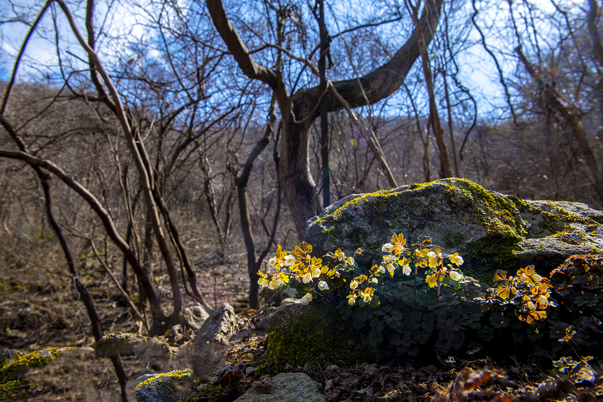 _DSC8547aa.jpg