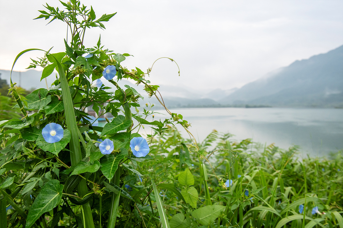 _DSC4098aa.jpg